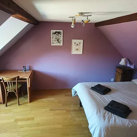 La Maison Alsacienne アパート